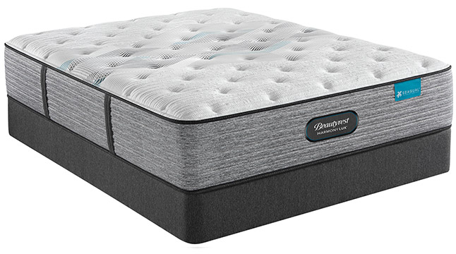 just beds & mattress augusta